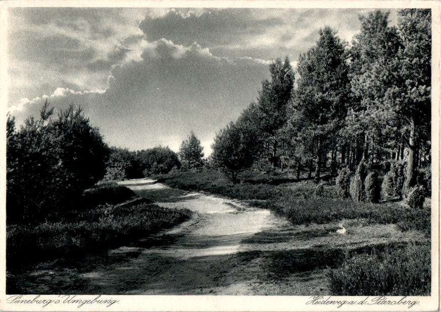 lüneburg, heideweg