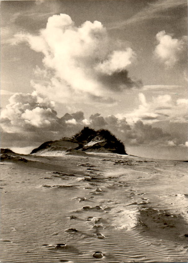 amrum, die wanderdüne