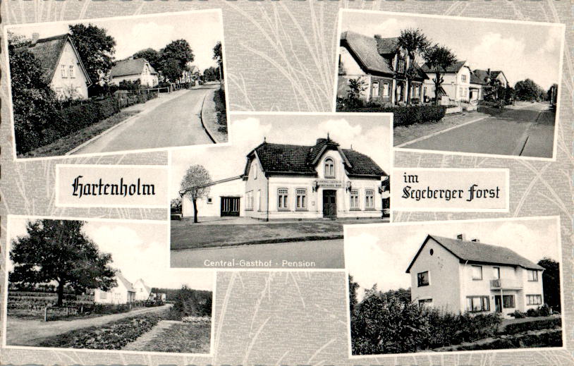 hartenholm im segeberger forst