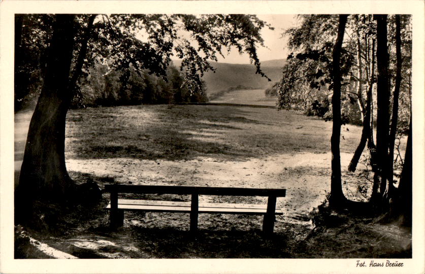 hamburg-bergedorf, fuchswiese im stadtpark, 1965