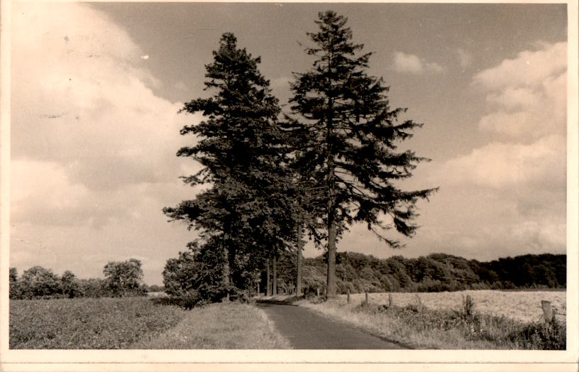 hamburg, wohldorf-ohlstedt, waldweg