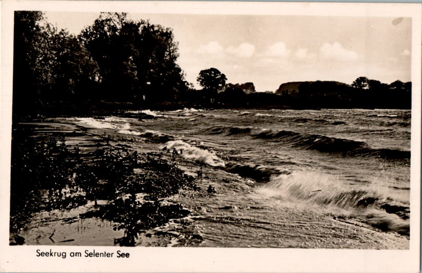 seekrug am selenter see, lütjenburg, ostholst.