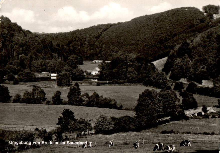 umgebung von bredelar im sauerland