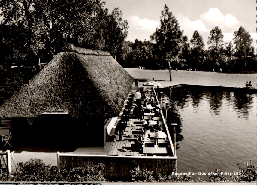 güster in lauenburg, seepavillon am prüss-see