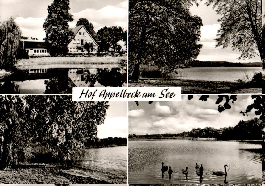 hof appelbeck am see, hollenstedt, adac lokal