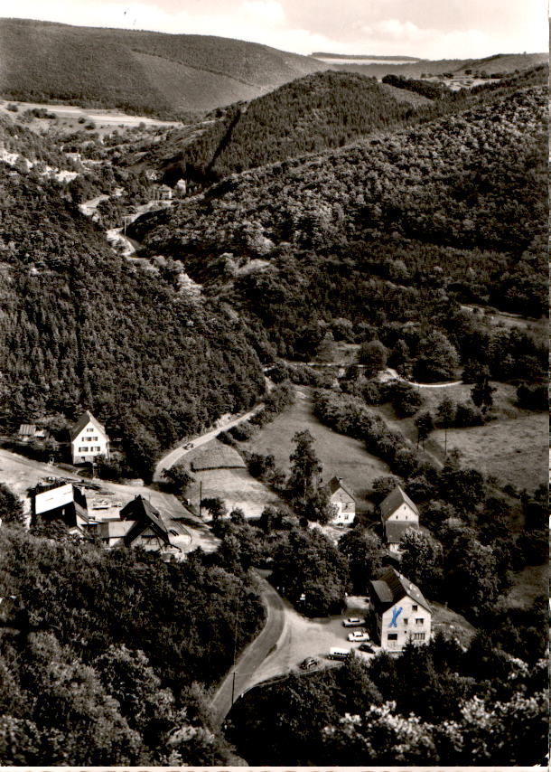 im lützbachtal, lütz ü. kastellaun hunsrück, 1968