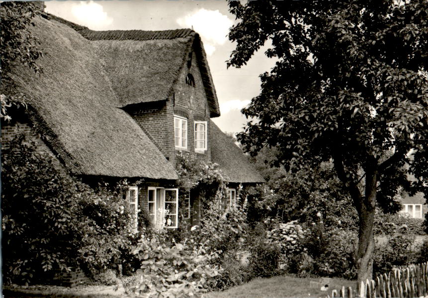 nebel auf amrum, friesenhaus, 1972