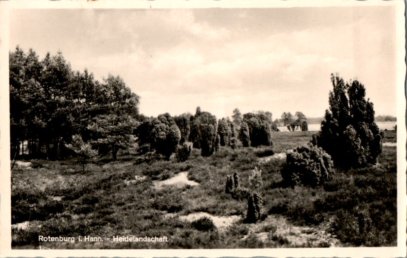 rotenburg i. hann., heidelandschaft