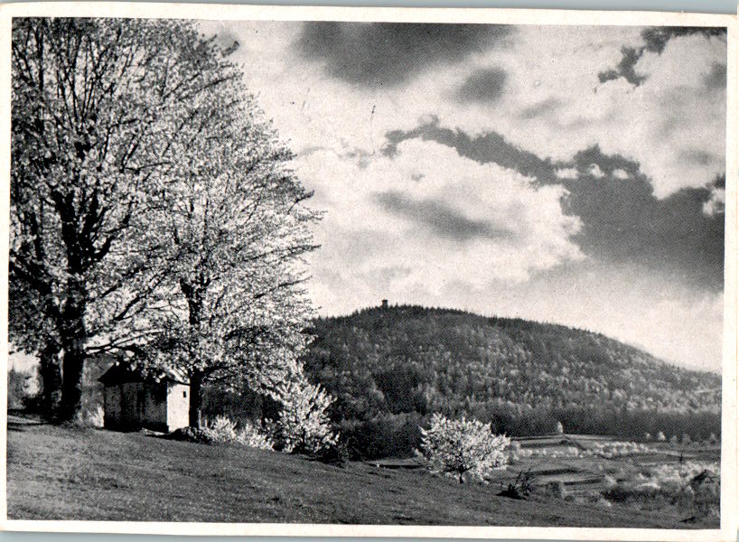 frühling in der frankenalb, foto: fritz steinbauer