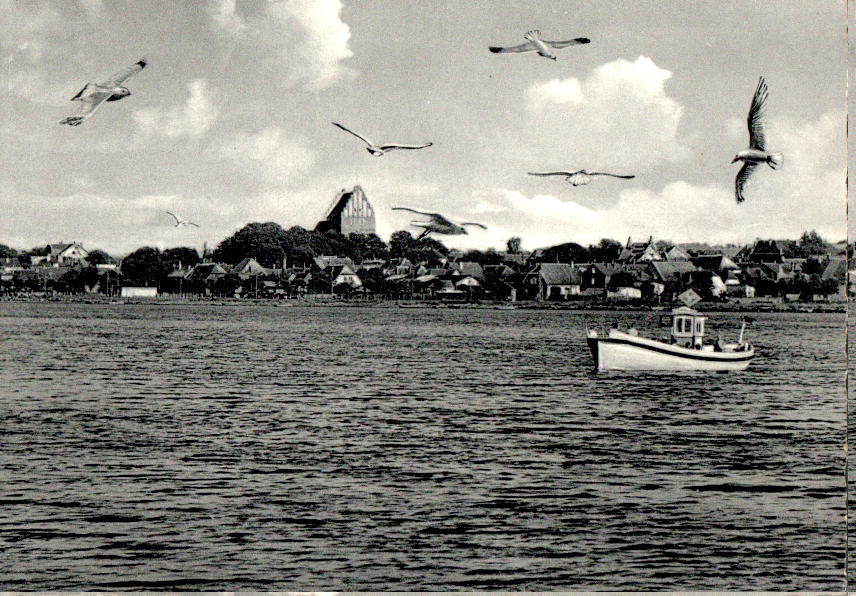 heiligenhafen, stadt mit fähre und möwen