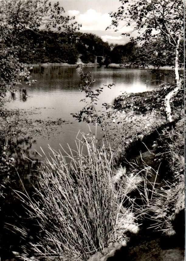 amrum, vogelkoje