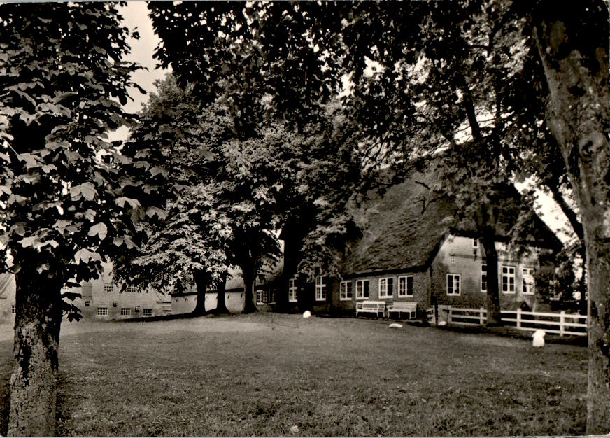 helse (dithmarschen), hof thiessen, 1964