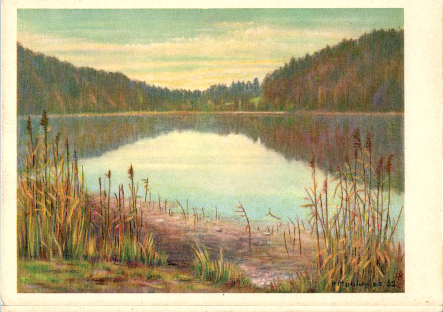 h. muntwyler, abend (türlersee)