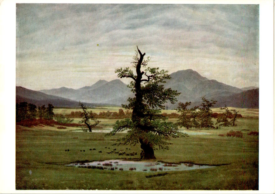 caspar david friedrich, einsamer baum