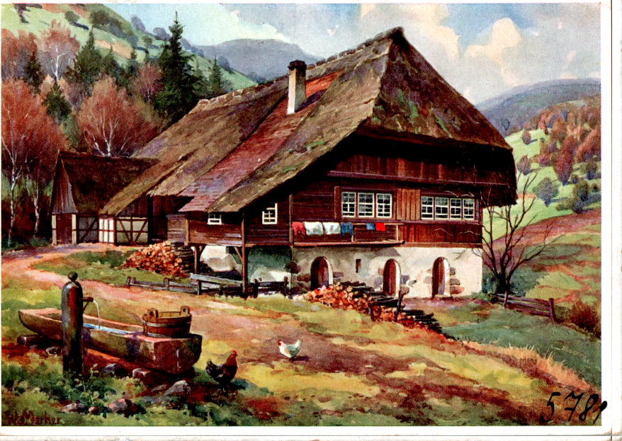 w. merker, im schwarzwald