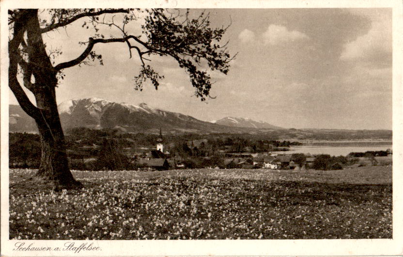 seehausen am staffelsee