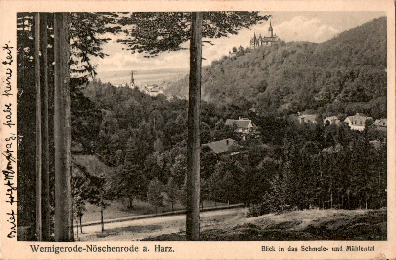 wernigerode-nöschenrode am harz, blick in das schmale- und mühletal, 1919