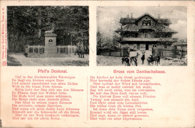 thale harz, pfeil's denkmal, dambachshaus, 1918