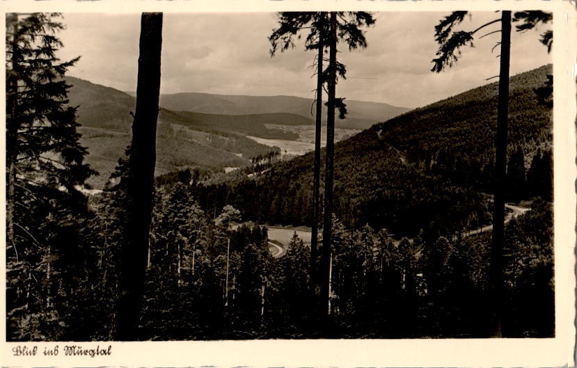 besenfeld, blick ins murgtal, 1940