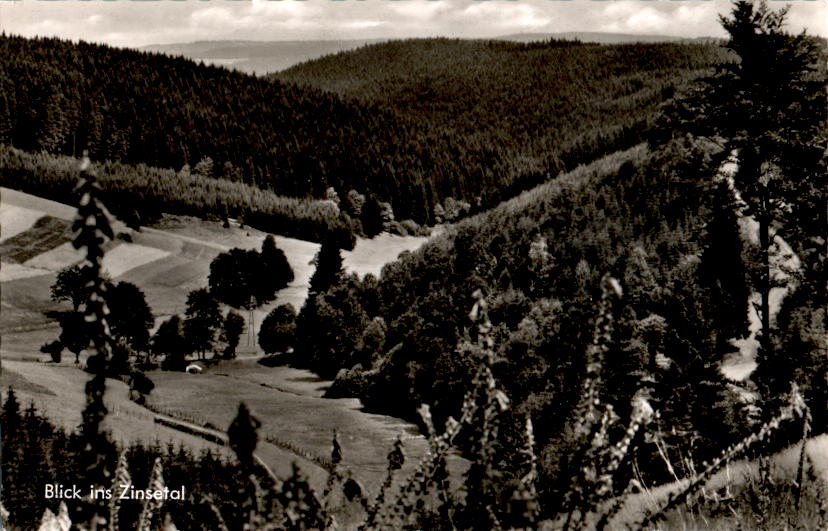 blick ins zinsetal b. erndtebrück