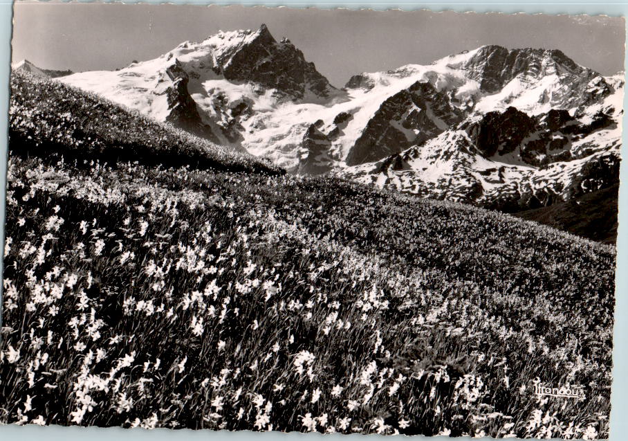 la meije, vue du chazelet