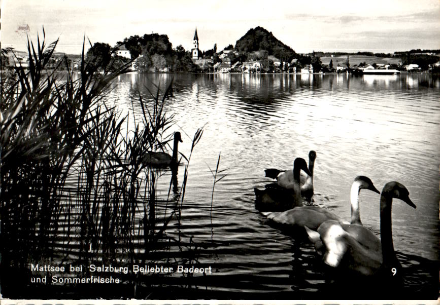 mattsee bei salzburg