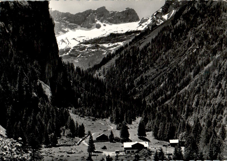 pont de nant s bex et dents de morcles