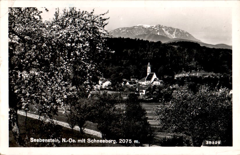 seebenstein mit schneeberg