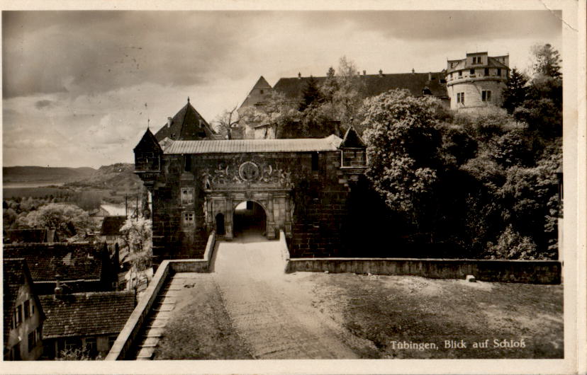 tübingen, blick auf schloß