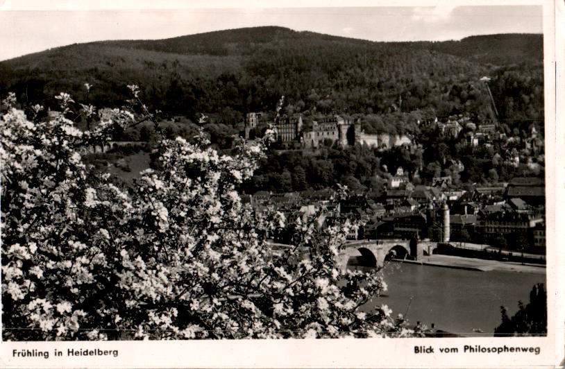 frühling in heidelberg, blick vom philosophenweg