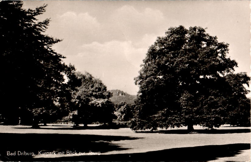 bad driburg, kurpark mit blick zur iburg