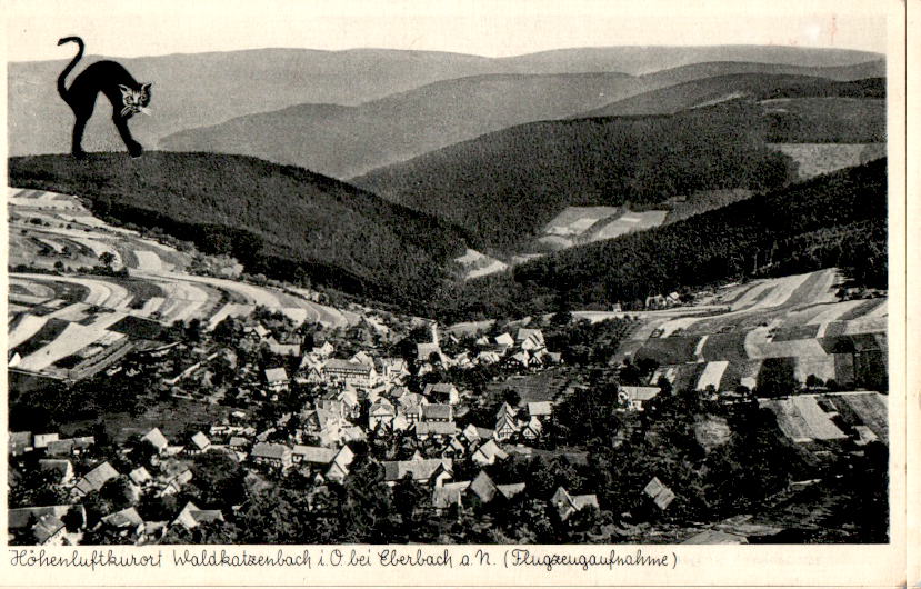 waldkatzenbach, flugzeugaufnahme