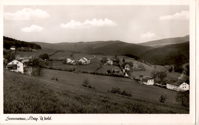 sommerau, bayer. wald