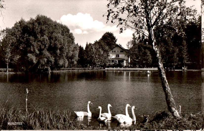 waldsee bei bad wörishofen, allgäu