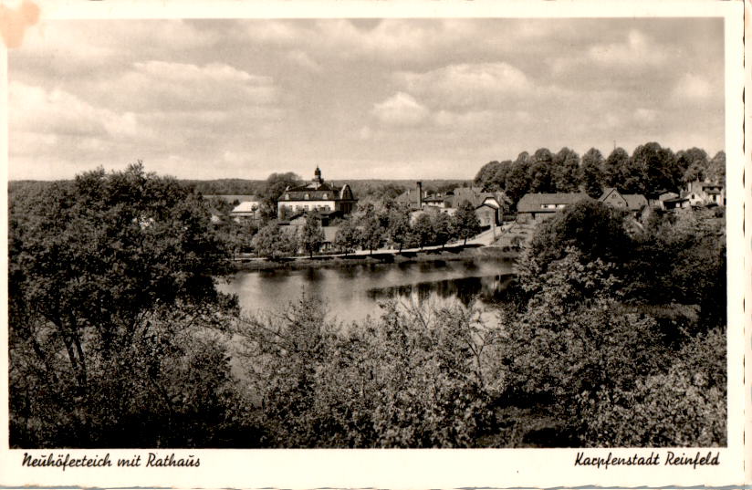 neuhöferteich mit rathaus, karpfenstadt reinfeld