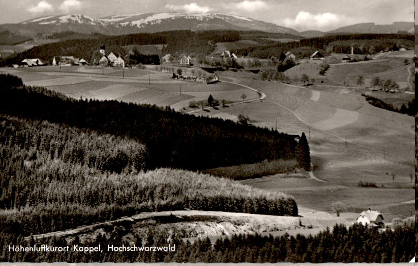 kappel, hochschwarzwald, mit blick zum feldberg