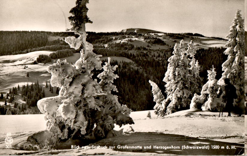 blick vom seebuck zur grafenmatte und herzogenhorn