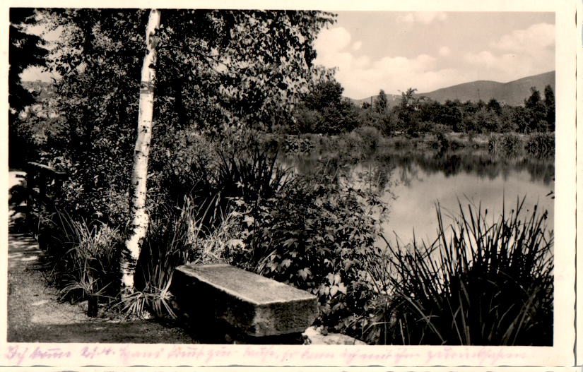 achern a.d. hornisgrinde, im stadtpark, 1952