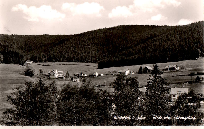 mitteltal, murgtal, blick zum eulengrund