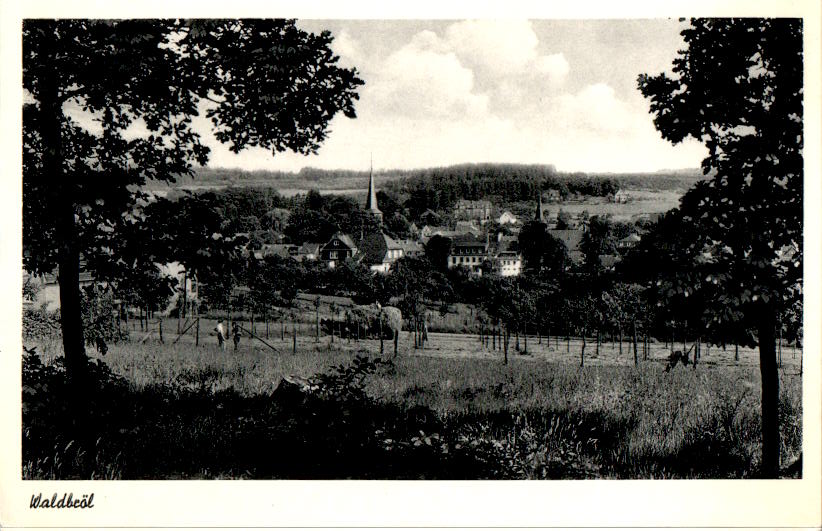 waldbröl, buchhandlung haupt