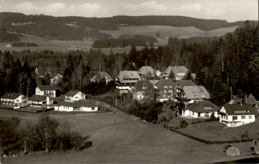 hinterzarten, schwarzwald