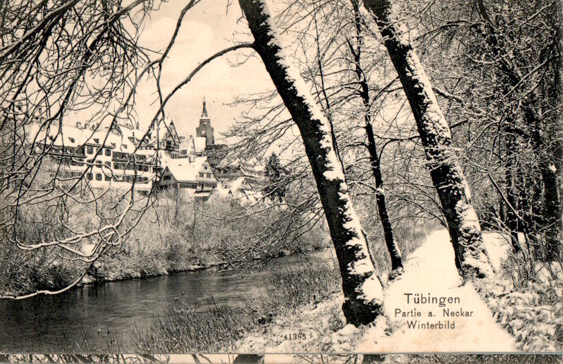 tübingen, partie am neckar, winterbild