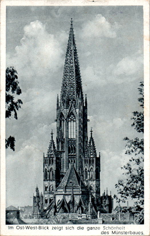 freiburg münster, ost-west-blick