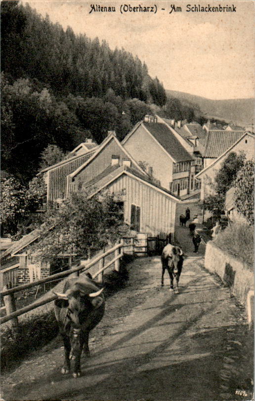 altenau, am schlackenbrink