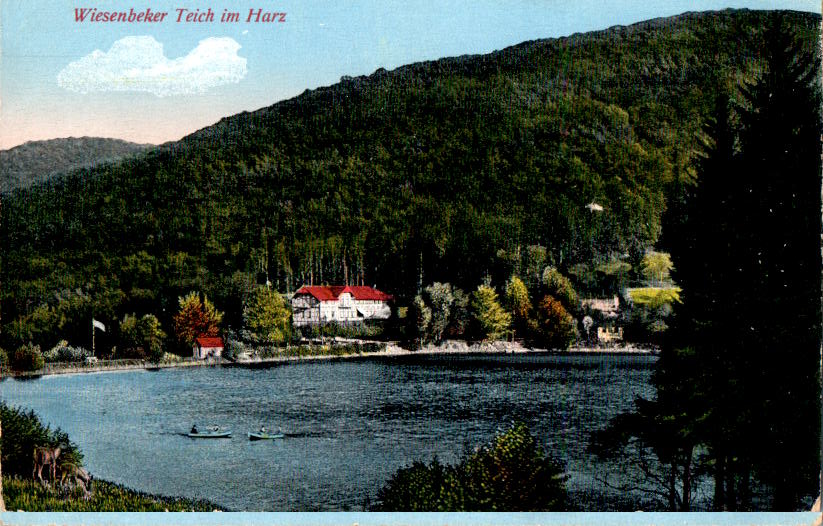 wiesenbeker teich im harz