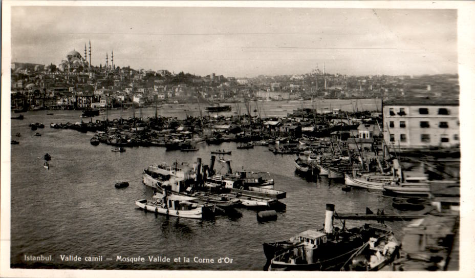 istanbul, valide camii, mosquée valide et la corne d'or, scanfehler