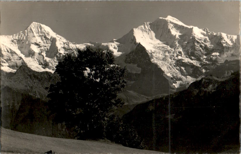 beatenberg, amisbühl: mönch und jungfrau