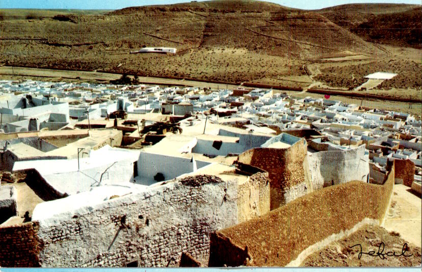 ghardaia, terrasses du m'zab