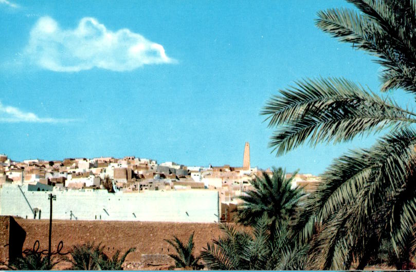 ghardaia, berriane, vue générale