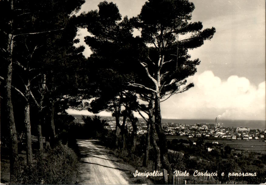 senigallia, viale carducci e panorama